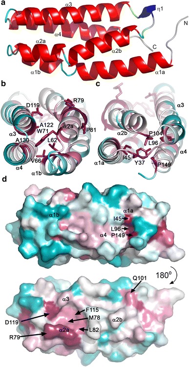 Fig. 4