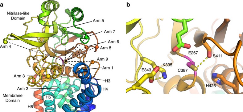 Figure 7