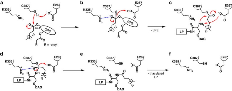 Figure 9