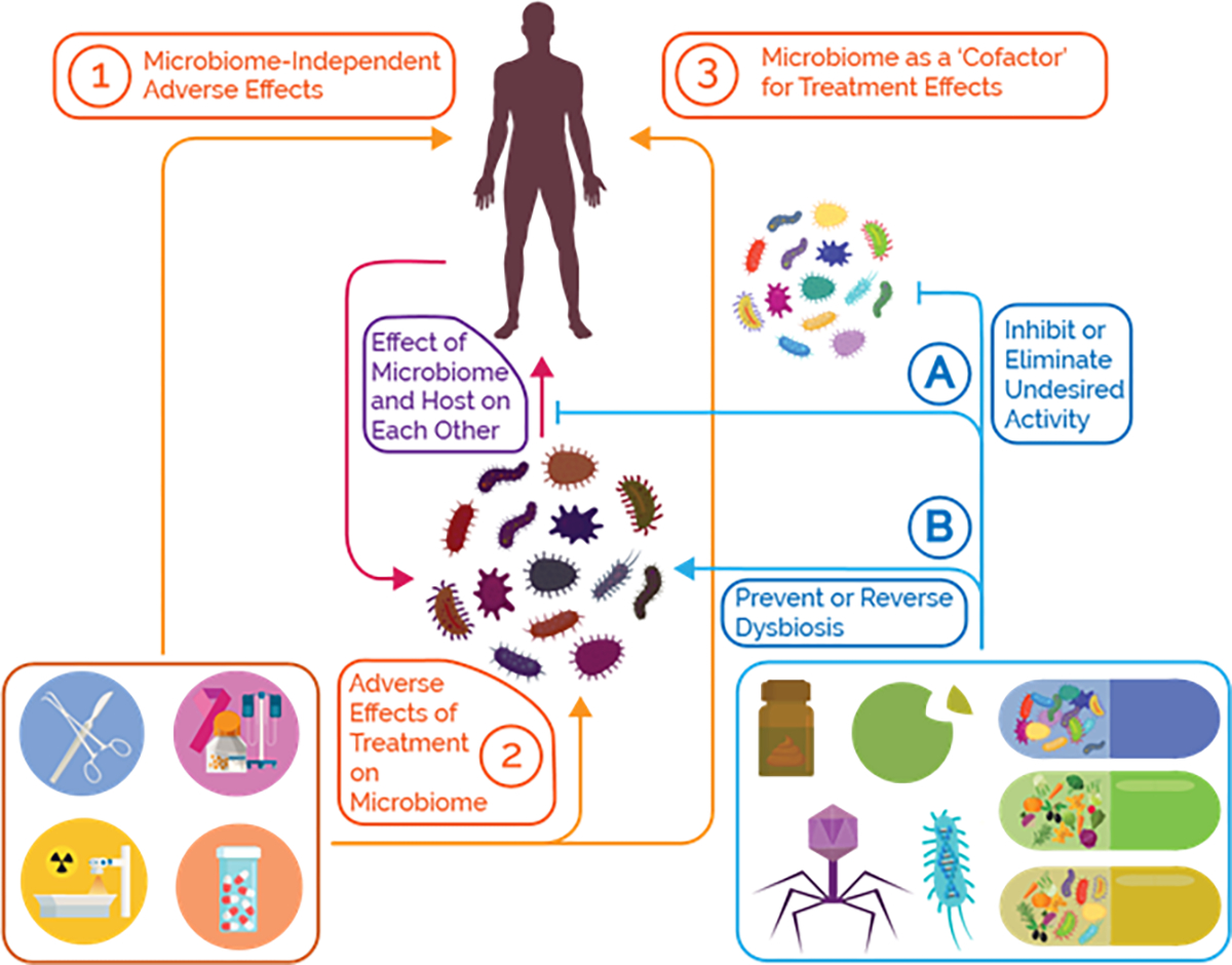 Figure 2: