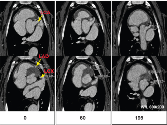 Figure 3.