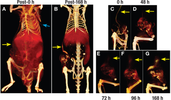 Figure 7.