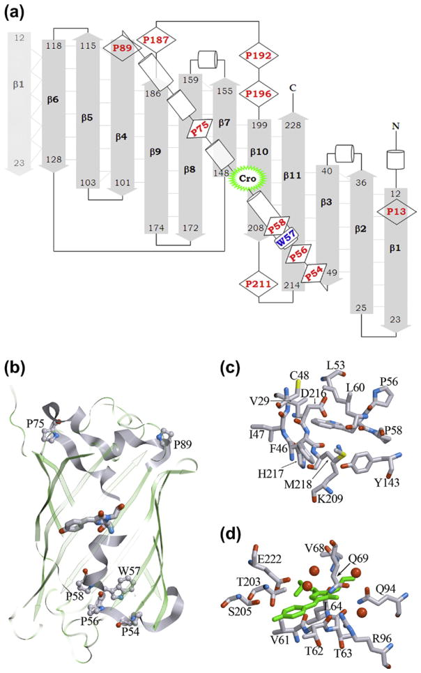 Figure 4.6