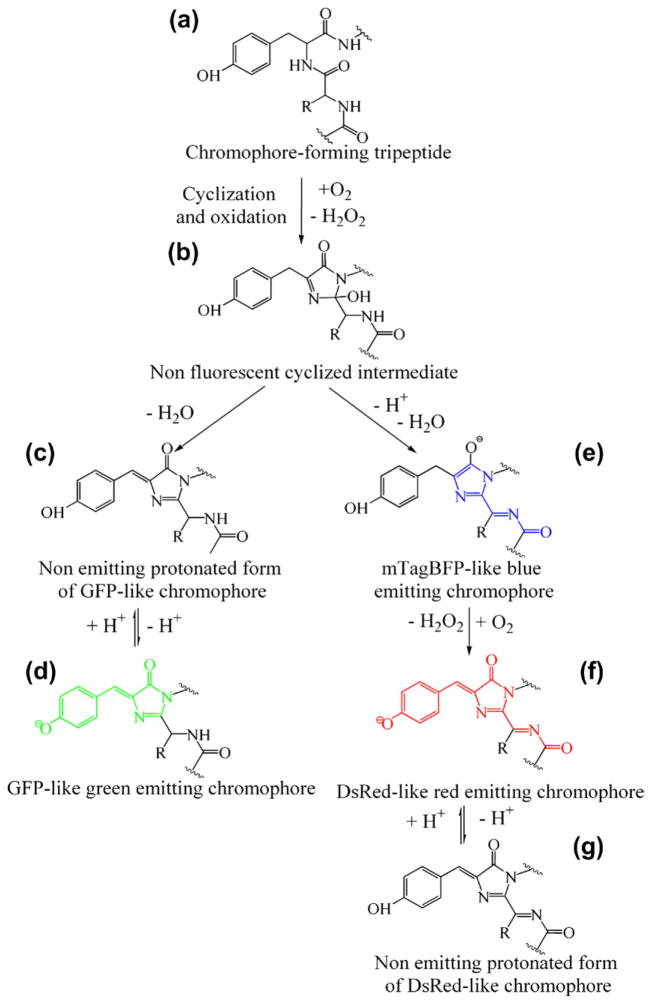 Figure 4.3