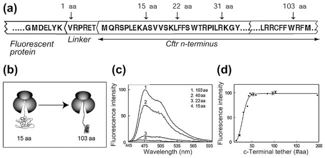 Figure 4.8