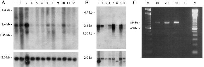 Figure  3