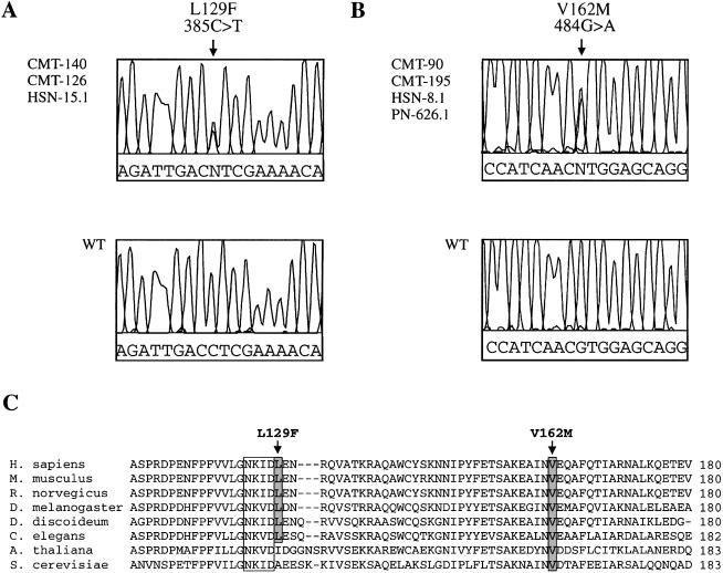  Figure  2