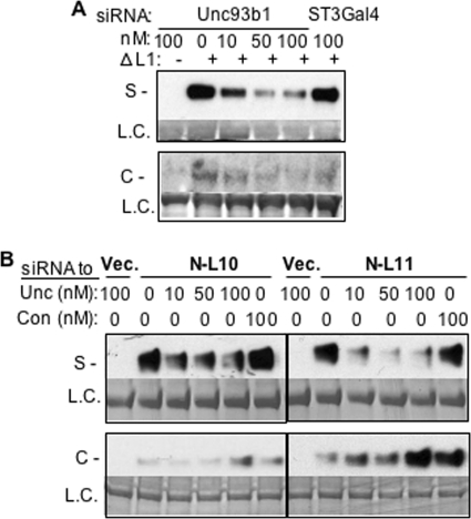 FIGURE 9.