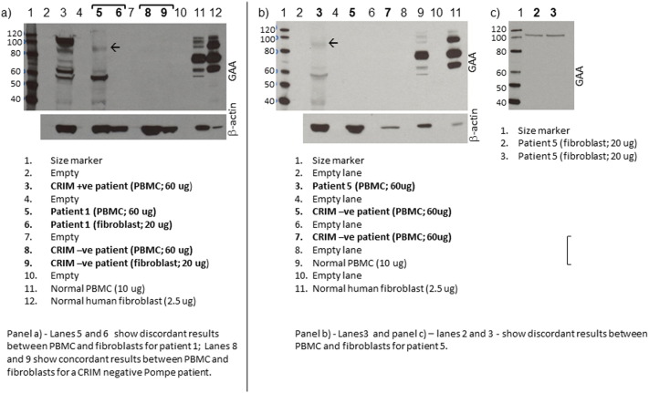 Supplementary Fig. S1