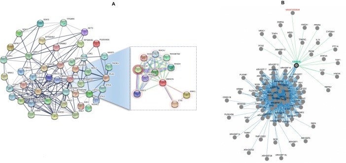 Figure 6