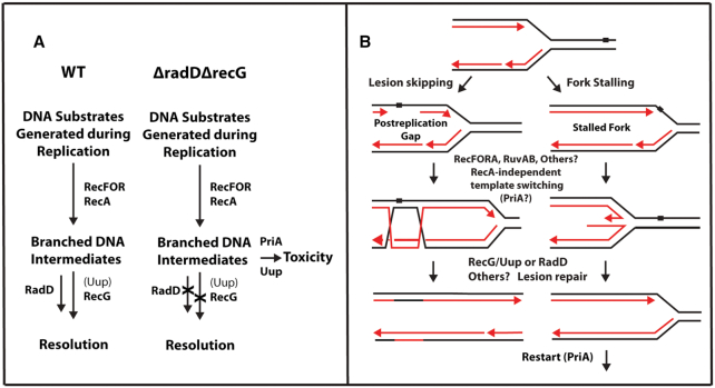 Figure 12.