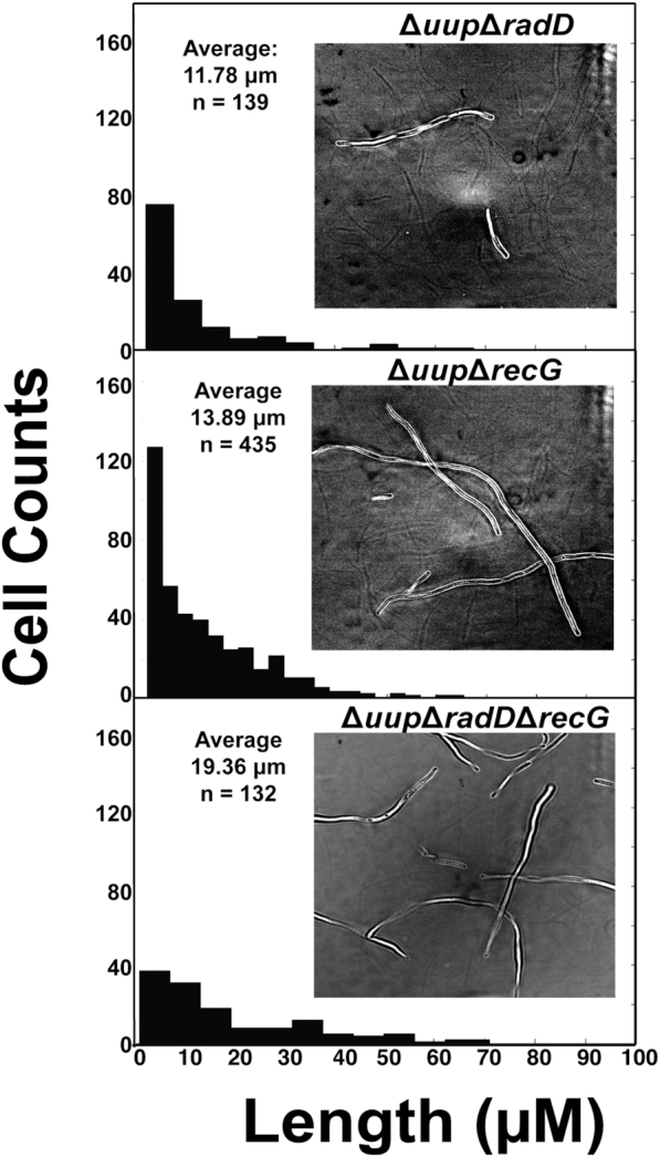 Figure 9.