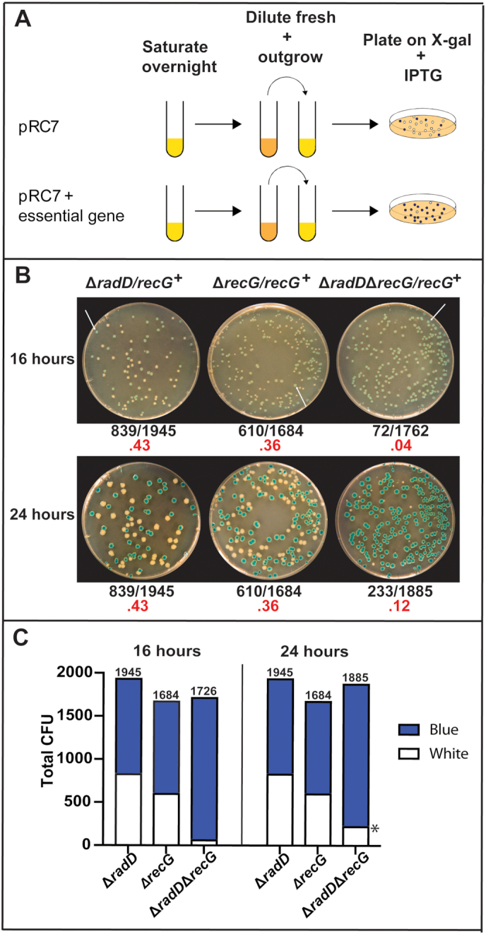 Figure 3.