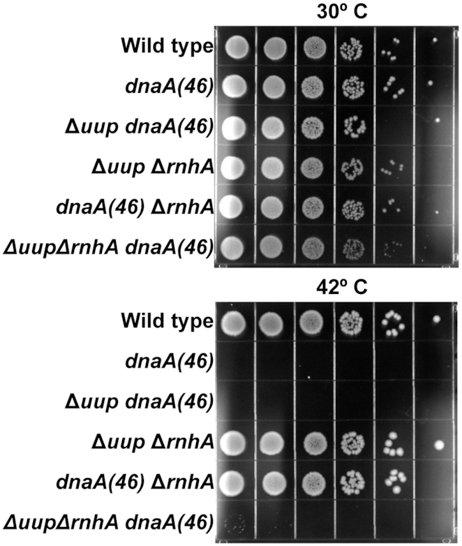 Figure 10.