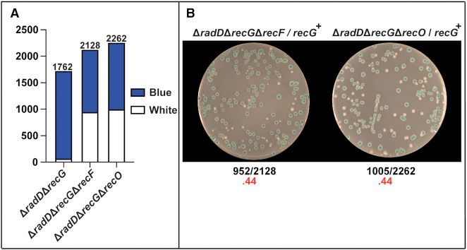 Figure 6.