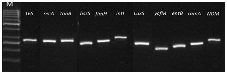 Figure 10
