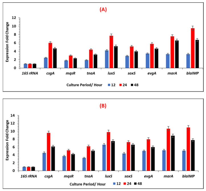 Figure 11