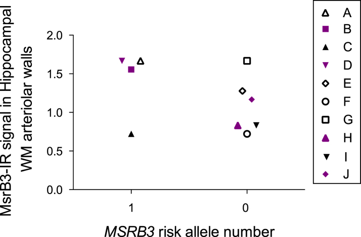 Fig.1