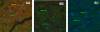 Fig. (6)