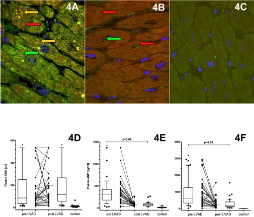 Fig. (4)