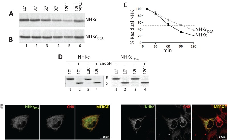 FIGURE 2: