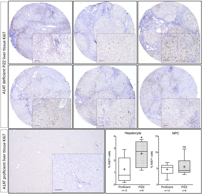 Fig 5