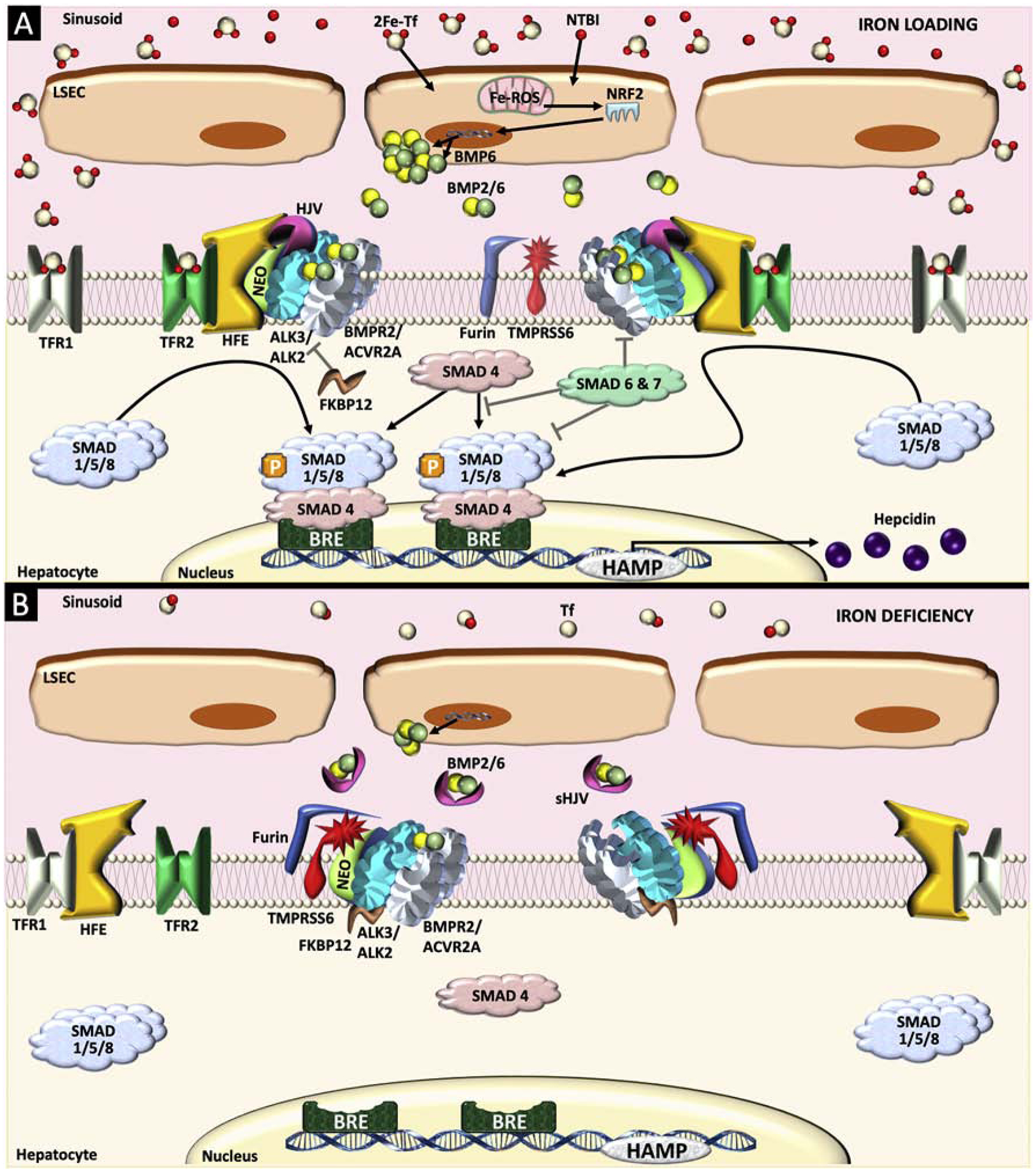 Figure 2.