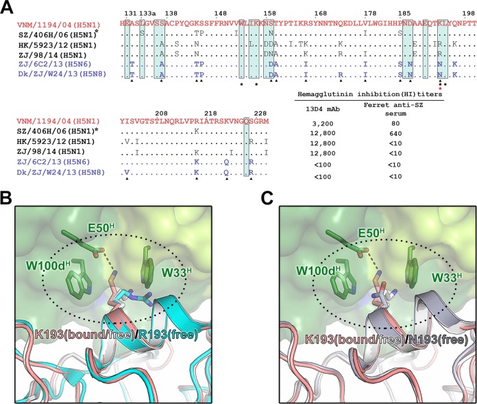 FIG 6