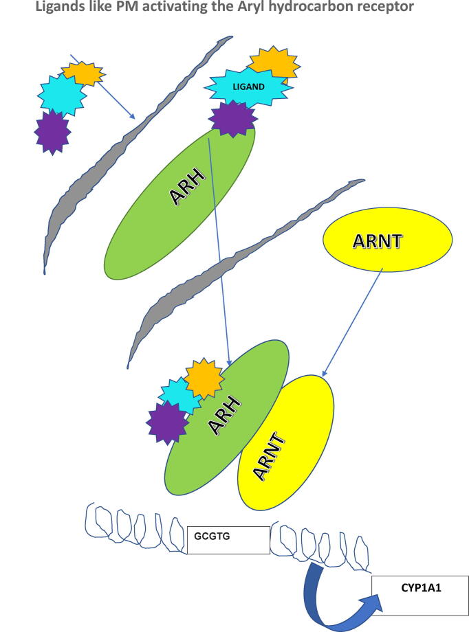 Fig. 1