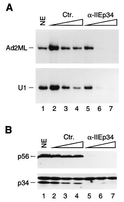 FIG. 8