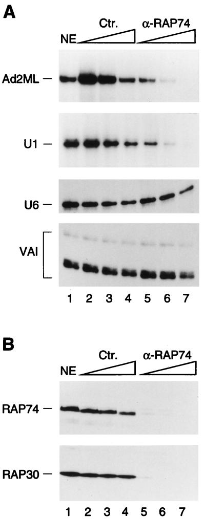 FIG. 6