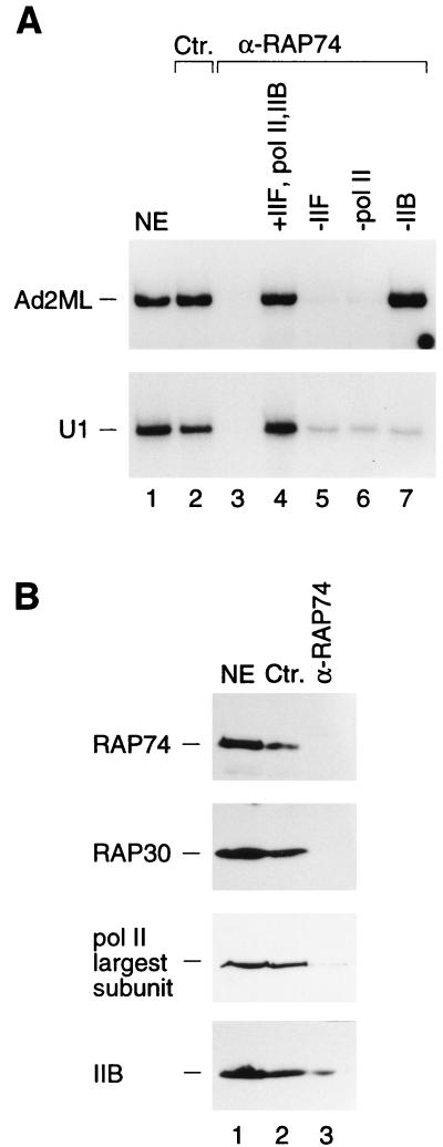 FIG. 7