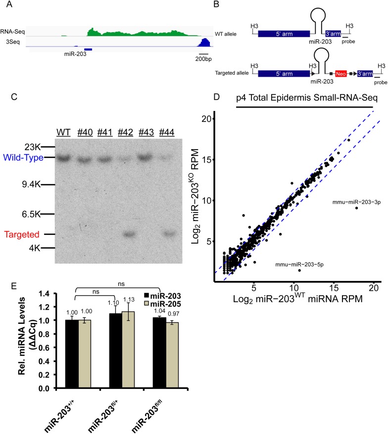 Figure 3—figure supplement 1.