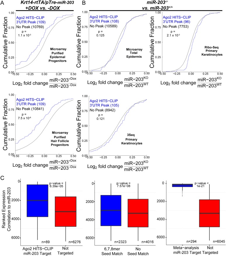 Figure 6—figure supplement 4.