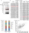 Figure 6—figure supplement 2.