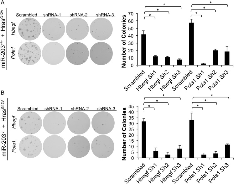 Figure 7—figure supplement 2.