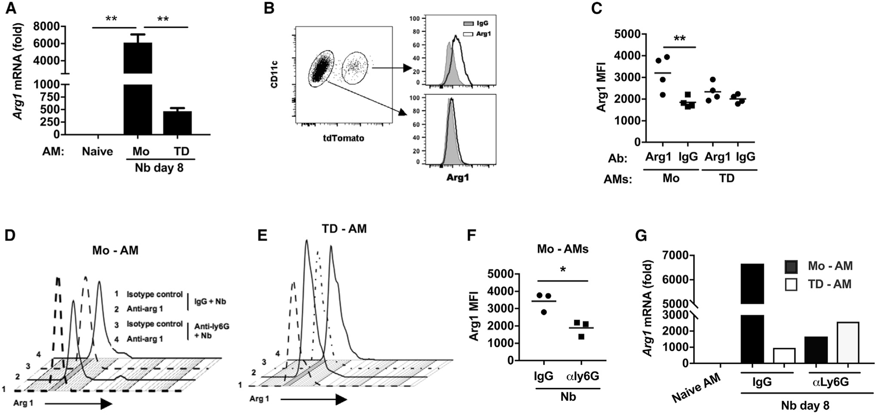 Figure 6.