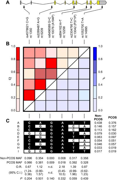 Fig. 1