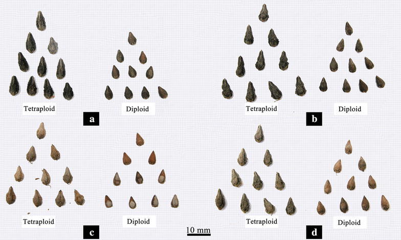 Fig. 7