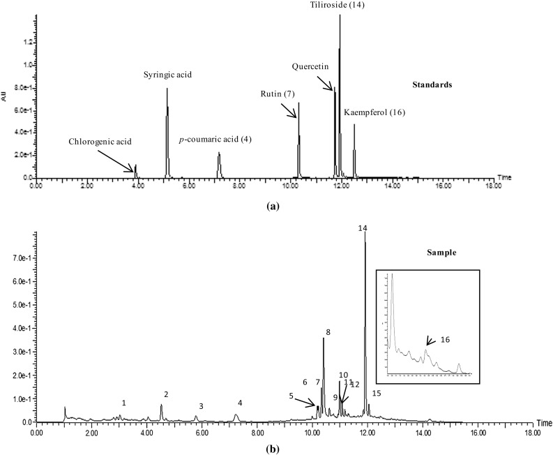 Fig. 1