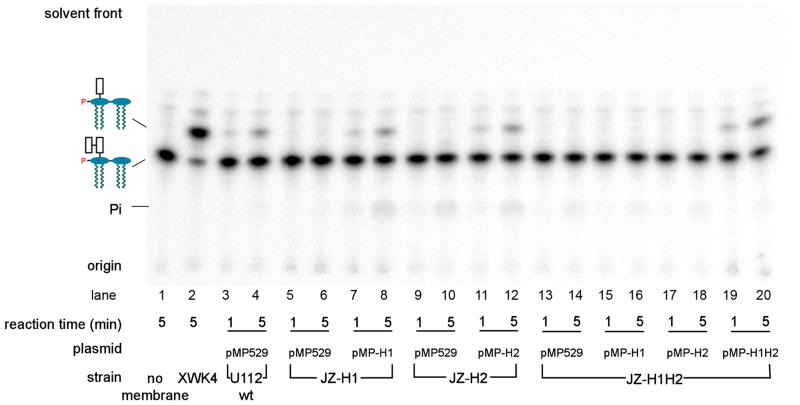 Fig. 5