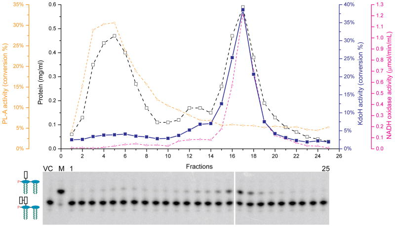 Fig. 8