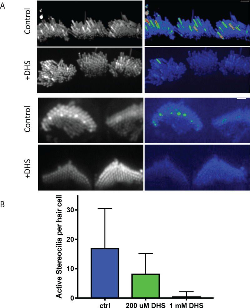 Figure 2: