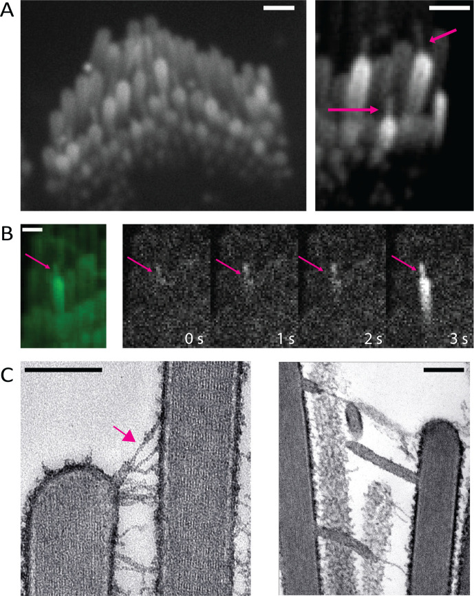 Figure 6: