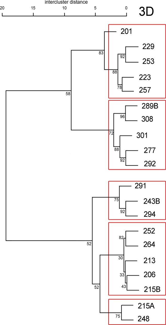 Fig 5