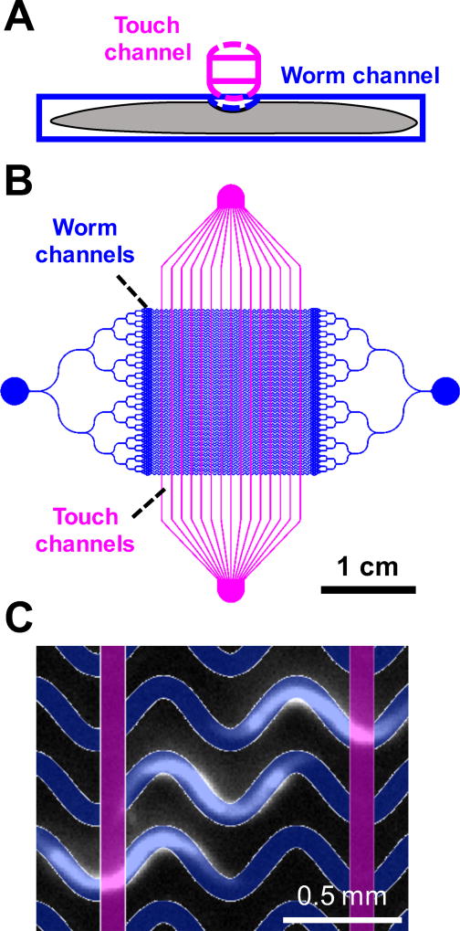 Fig. 1