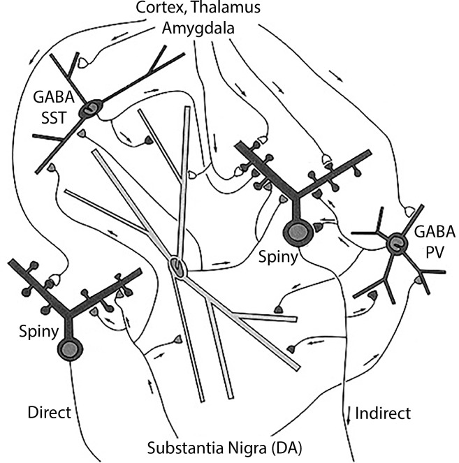 FIGURE 2