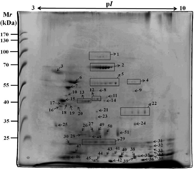 Fig. 2: