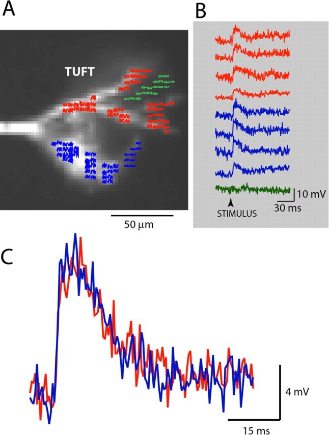 Figure 3.