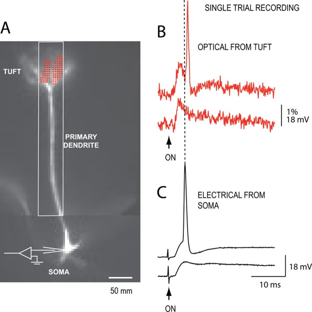 Figure 6.